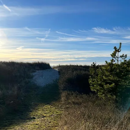 Beachfront With Sea View And Wild Nature Hébergement de vacances Nordenbro Vesteregn