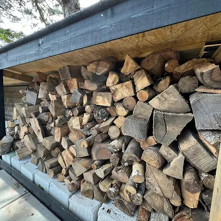 Beachfront With Sea View And Wild Nature