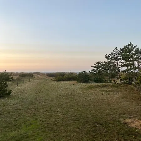 Beachfront With Sea View And Wild Nature